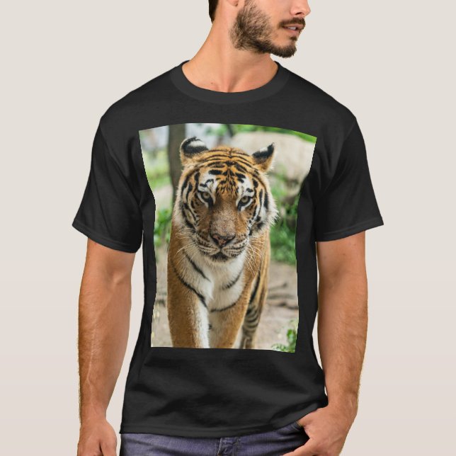 T-shirt Tigre de randonnée forestière (Devant)