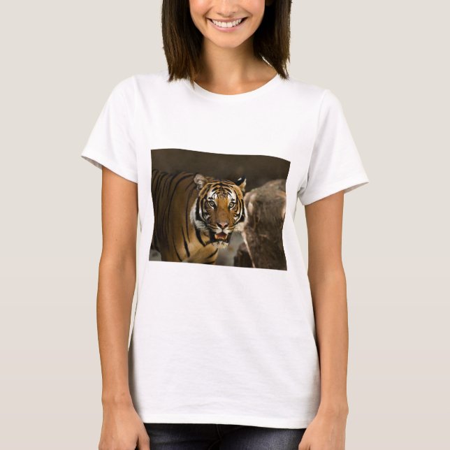 T-shirt Tigre de Sibérie (Devant)