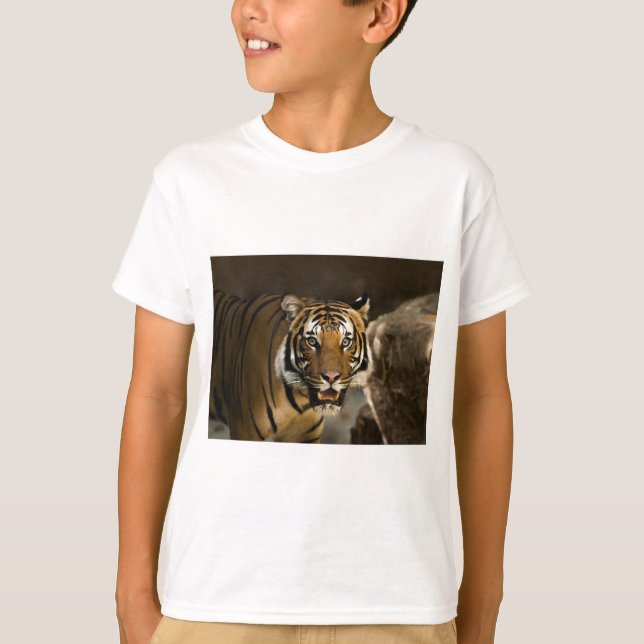T-shirt Tigre de Sibérie (Devant)