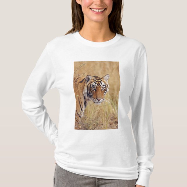 T-shirt Tigre royal du Bengale (Devant)
