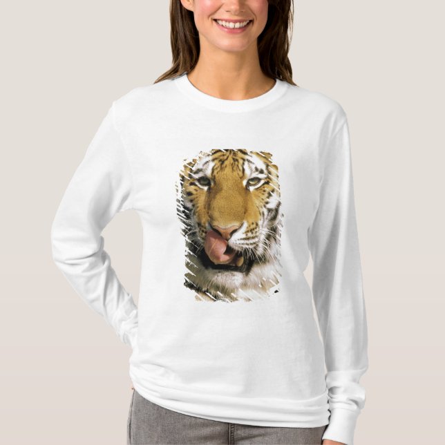 T-shirt Tigre Zoo du Michigan (Devant)