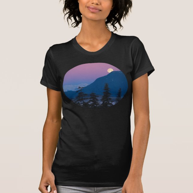 T-shirt Tombe nocturne en Alaska (Devant)