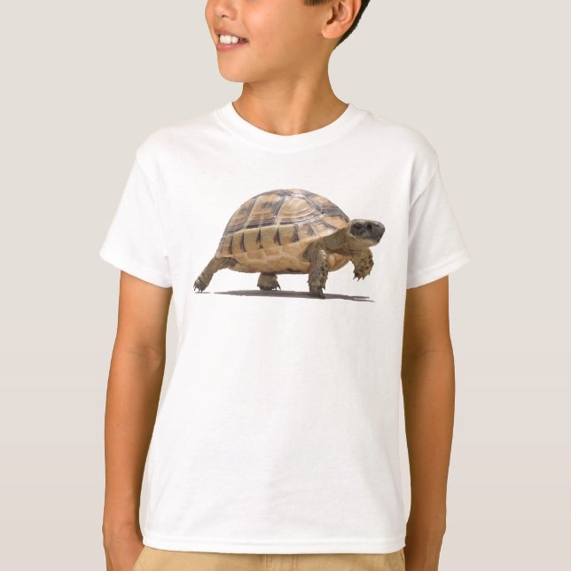 T-shirt Tortue Bébé Dessin Animé Vectoriel Isolée (Devant)