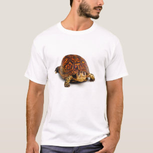 T-shirt Tortue de boîte