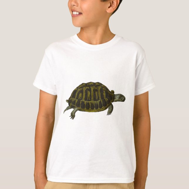 T-shirt Tortue de boîte (Devant)