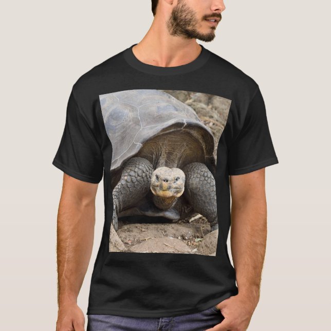 T-shirt Tortue des Galapagos (Devant)