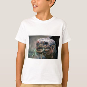 T-shirt Tortue des Galapagos, îles Galapagos