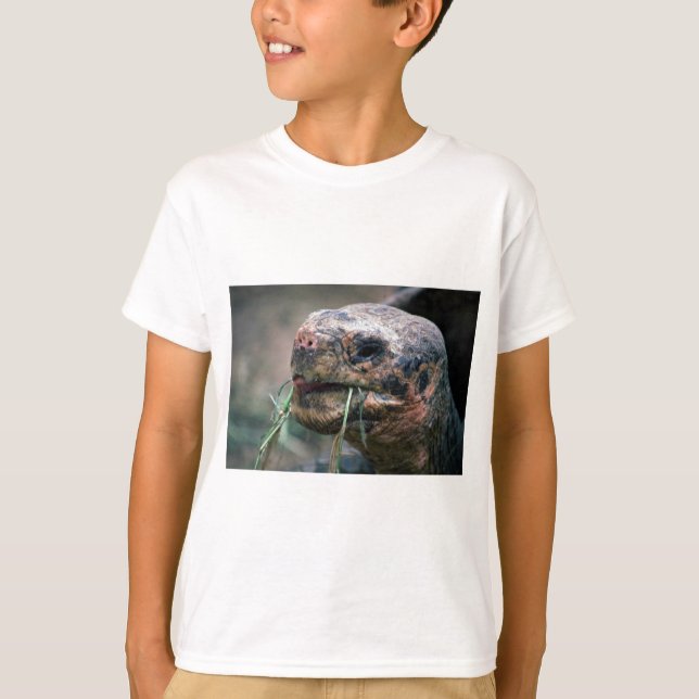 T-shirt Tortue des Galapagos, îles Galapagos (Devant)