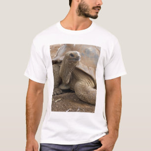 T-shirt Tortue terrestre des Seychelles Aldabran
