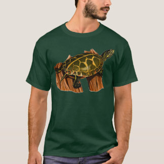 T-shirt Tortue tortue peinte Tortue tortue Tortue Don Turt