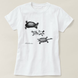 T-shirt Tortues de John Laurens