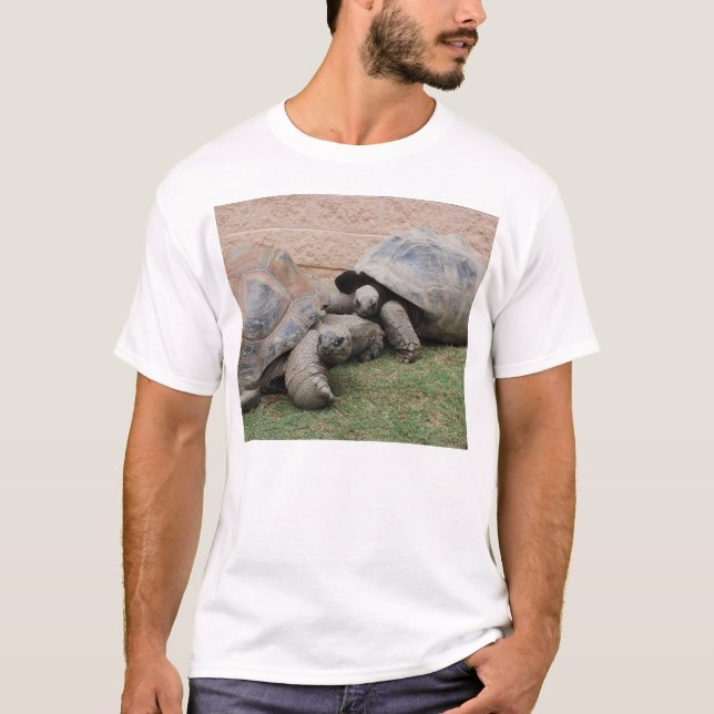 T-shirt tortues géantes (Devant)