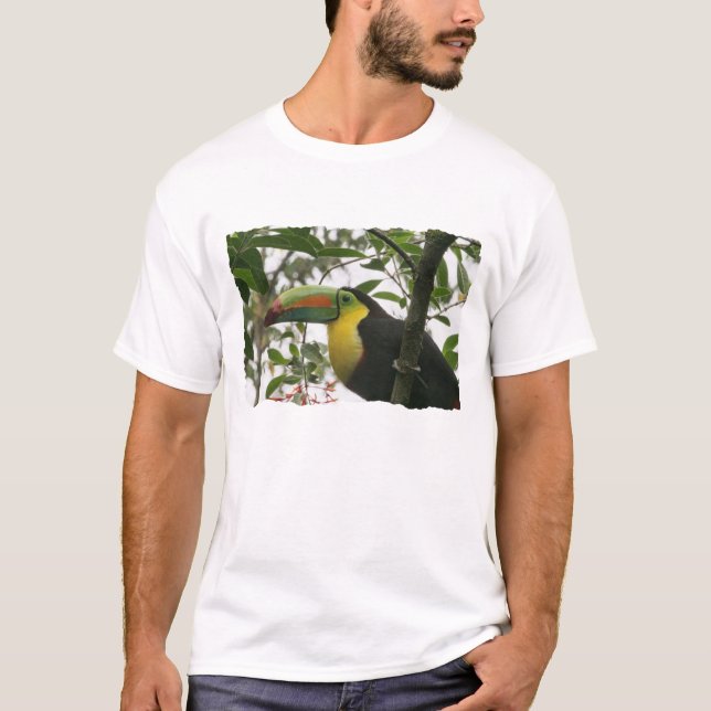 T-shirt Toucan dans la jungle (Devant)