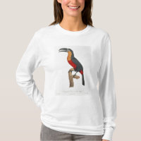Toucan : Grand Rouge-Gonflé par Jacques Barraband