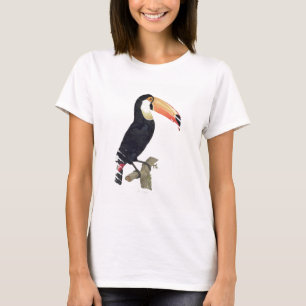 T-shirt Toucan No.2, from 'History of the Birds of Paradis