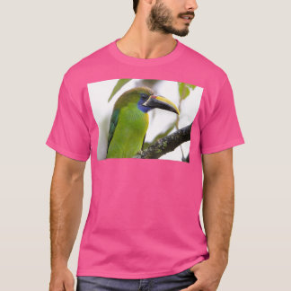 T-shirt Toucanet bleu