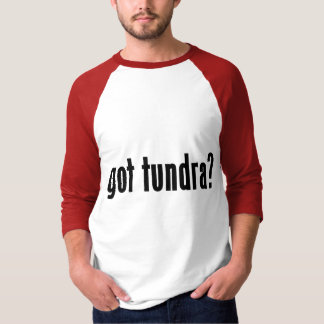T-shirt toundra obtenue ?