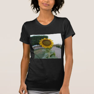 T-shirt Tournesol