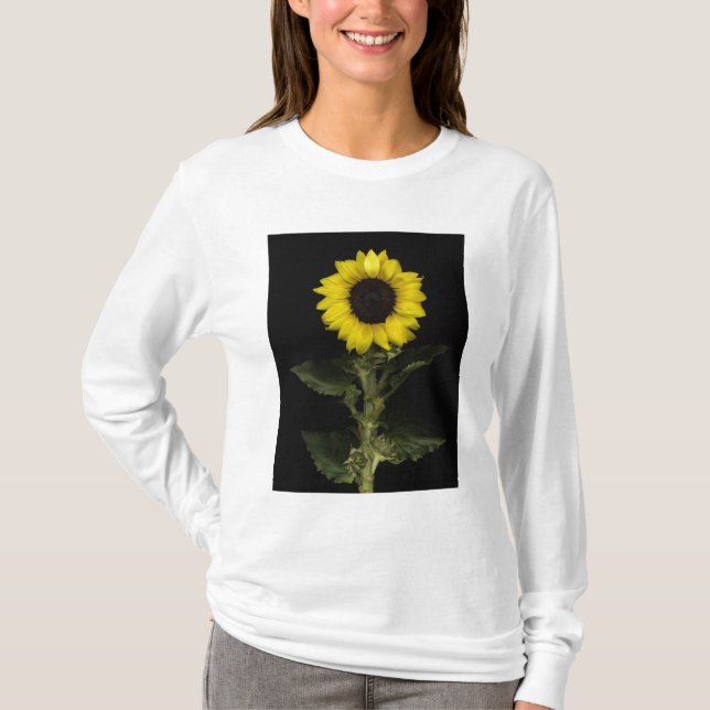 T-shirt Tournesol 11 (Devant)