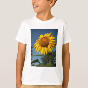 T-shirt Tournesol matinal