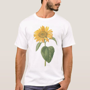 T-shirt tournesol sur le blanc