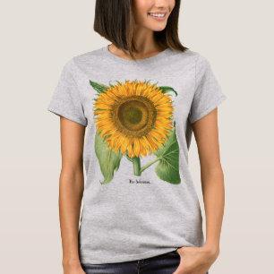 T-shirt Tournesol Vintage par Basilius Besler