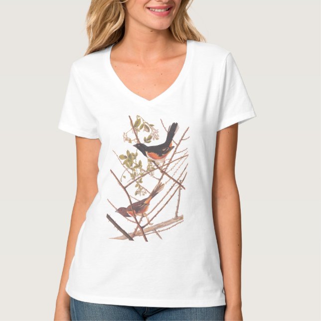 T-shirt Towee Bunting Audubon Black and Orange Song Birds (Devant)