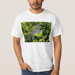 T-shirt Towhee de la Californie