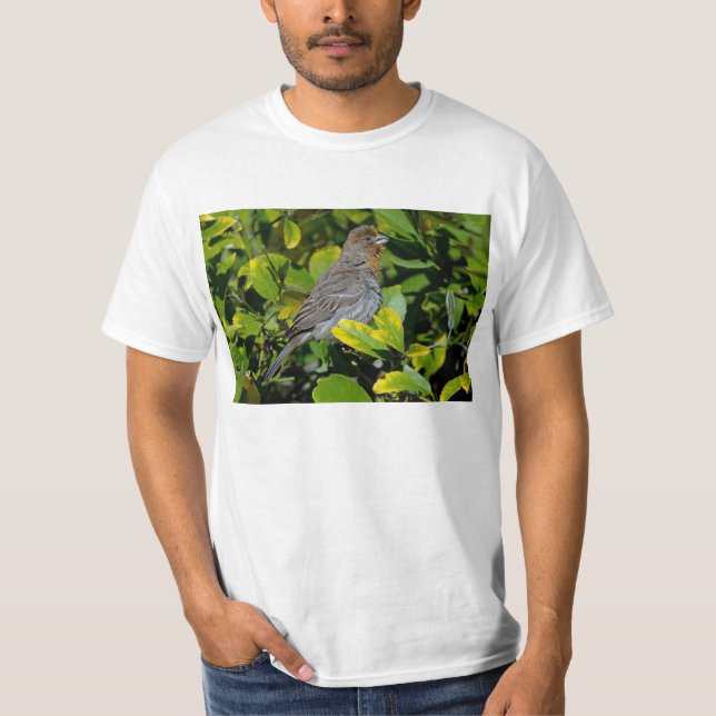 T-shirt Towhee de la Californie (Devant)
