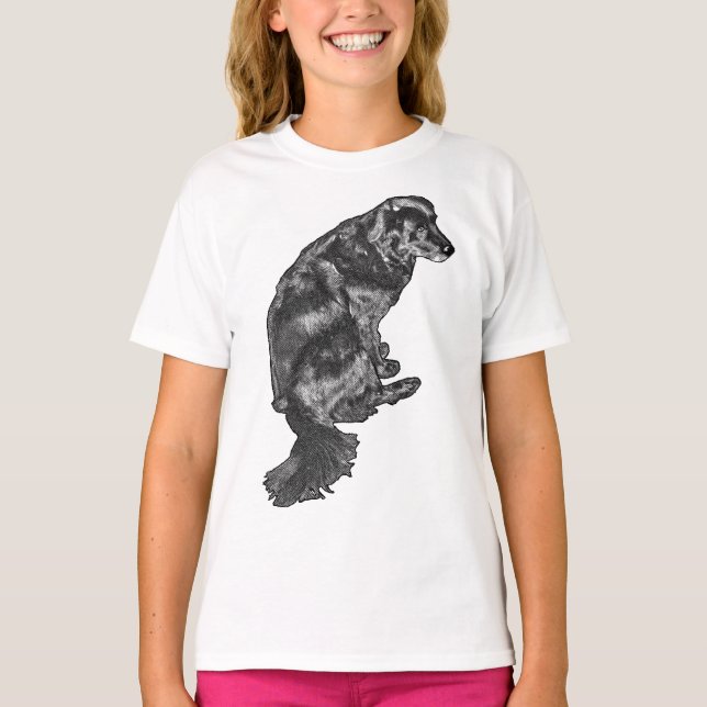 T-shirt Tracé du chemin du cidre — Retriever (Devant)