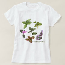 T-shirt Tradescantia plantes