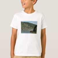 Train de voyageurs à Oberwesel