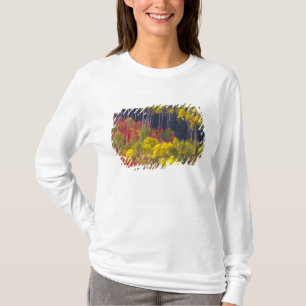 T-shirt Trembles colorés dans Logan Canyon Utah dans l'aut