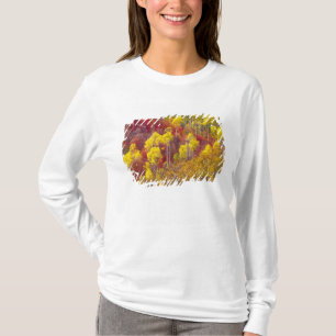 T-shirt Trembles colorés dans Logan Canyon Utah en 2