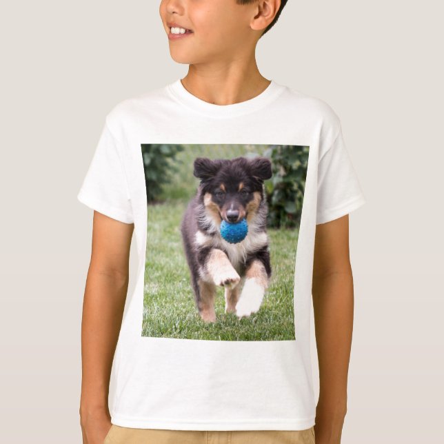 T-shirt Tri Coloré Australian Shepherd Pup (Devant)