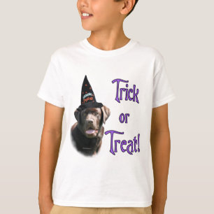 T-shirt Trick Labrador Retriever (chocolat)