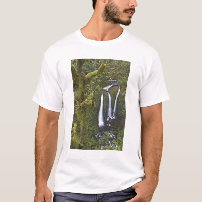 T-shirt Triple Falls, gorge du Columbia (Devant)