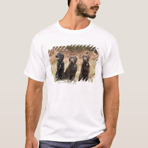 T-shirt Trois chiens d'arrêt de Labrador noirs