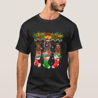 T-shirt Trois chiens de race Setter Irlandais Elfe des ren