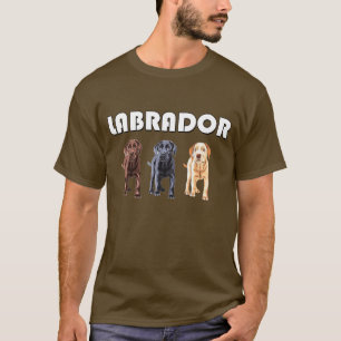 T-shirt trois couleurs labrador