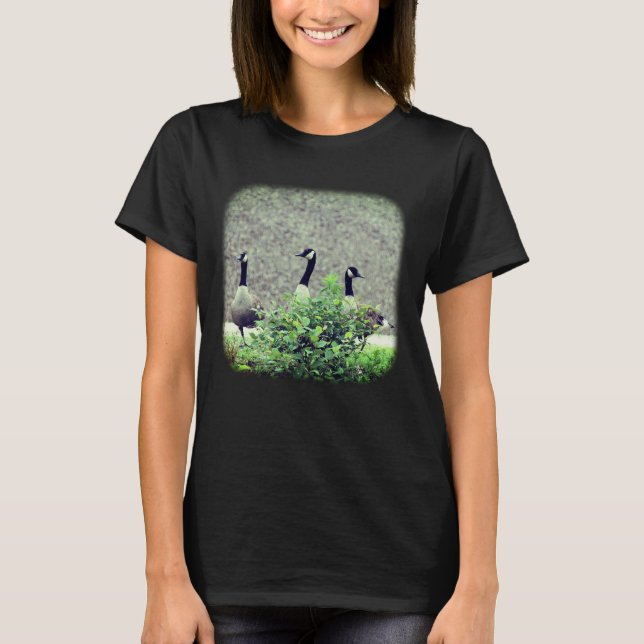 T-shirt Trois espèces d'oies du Canada (Devant)