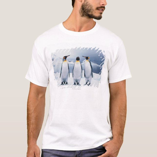 T-shirt Trois le Roi pingouins (Devant)