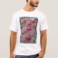 Trois orchidées