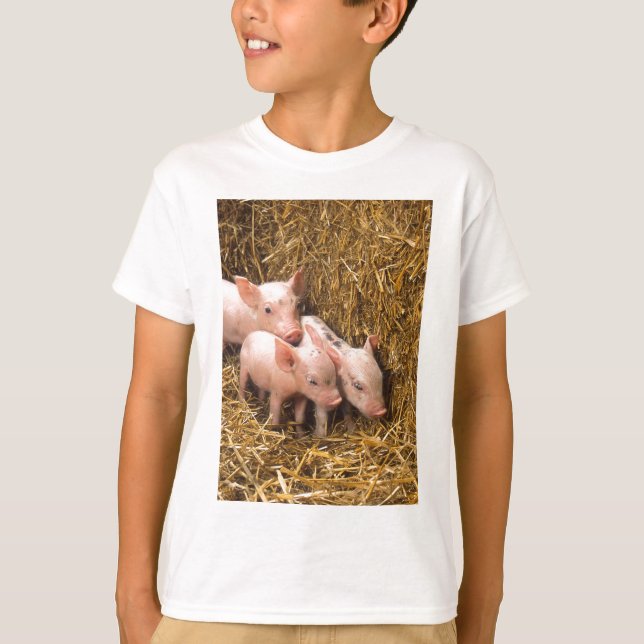T-shirt Trois petits cochons (Devant)