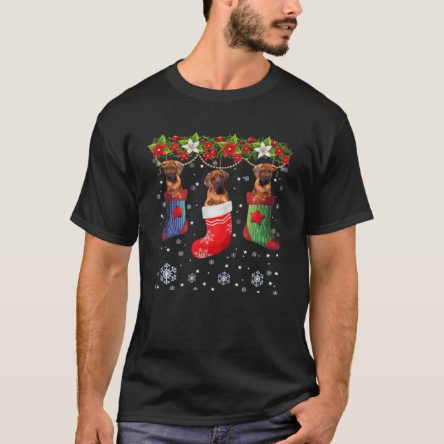 T-shirt Trois Rhodesian Ridgeback Chien Dans Sock Christma (Devant)