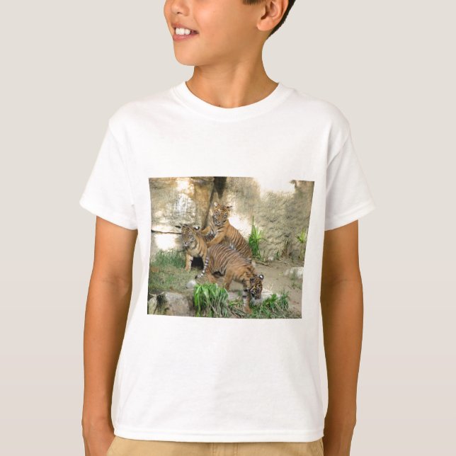 T-shirt Trois tigre CUB (Devant)