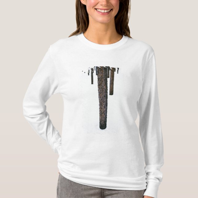 T-shirt Troncs d'arbre dans la neige (Devant)