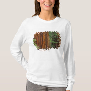 T-shirt Troncs de Séquoia géants en forêt, Yosemite