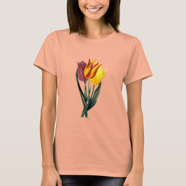 T-shirt Tulipe (Tulipa Gesneriana) (Devant)