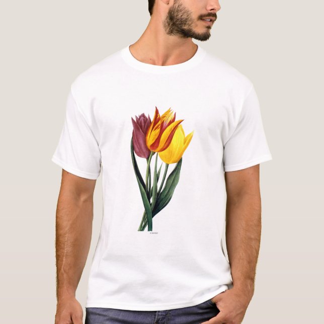 T-shirt Tulipe (Tulipa Gesneriana) (Devant)